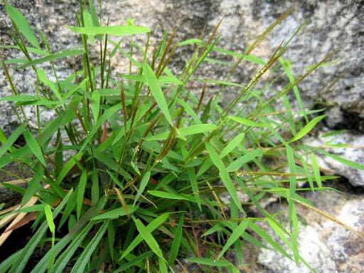 photo-1682520053568