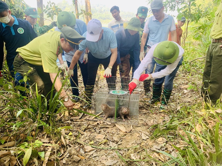 Nhiều cá thể động vật hoang dã, quý hiếm được thả về rừng - Ảnh 3.