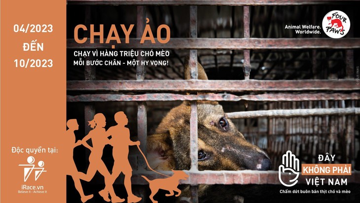 Phát động giải chạy trực tuyến nhằm chấm dứt tình trạng buôn bán thịt chó, mèo - Ảnh 2. Phát động giải chạy trực tuyến nhằm chấm dứt tình trạng buôn bán thịt chó, mèo - Ảnh 2.