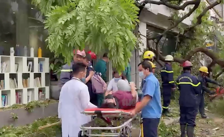 TP.HCM: Cây xanh trong trường bật gốc, 1 học sinh và 5 người lớn bị thương, trong đó có một phụ nữ mang thai - Ảnh 2. TP.HCM: Cây xanh trong trường bật gốc, 1 học sinh và 5 người lớn bị thương, trong đó có một phụ nữ mang thai - Ảnh 2.