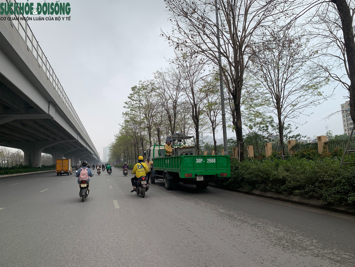 Trong 2 năm tới, Hà Nội dự kiến trồng nửa triệu cây xanh - Ảnh 1.