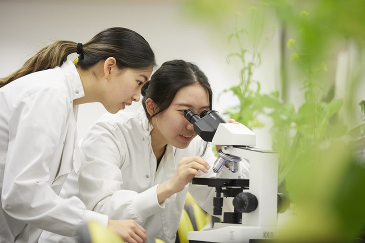 Vinschool công bố chương trình dự bị đại học NCUK – Vinschool - Ảnh 2.