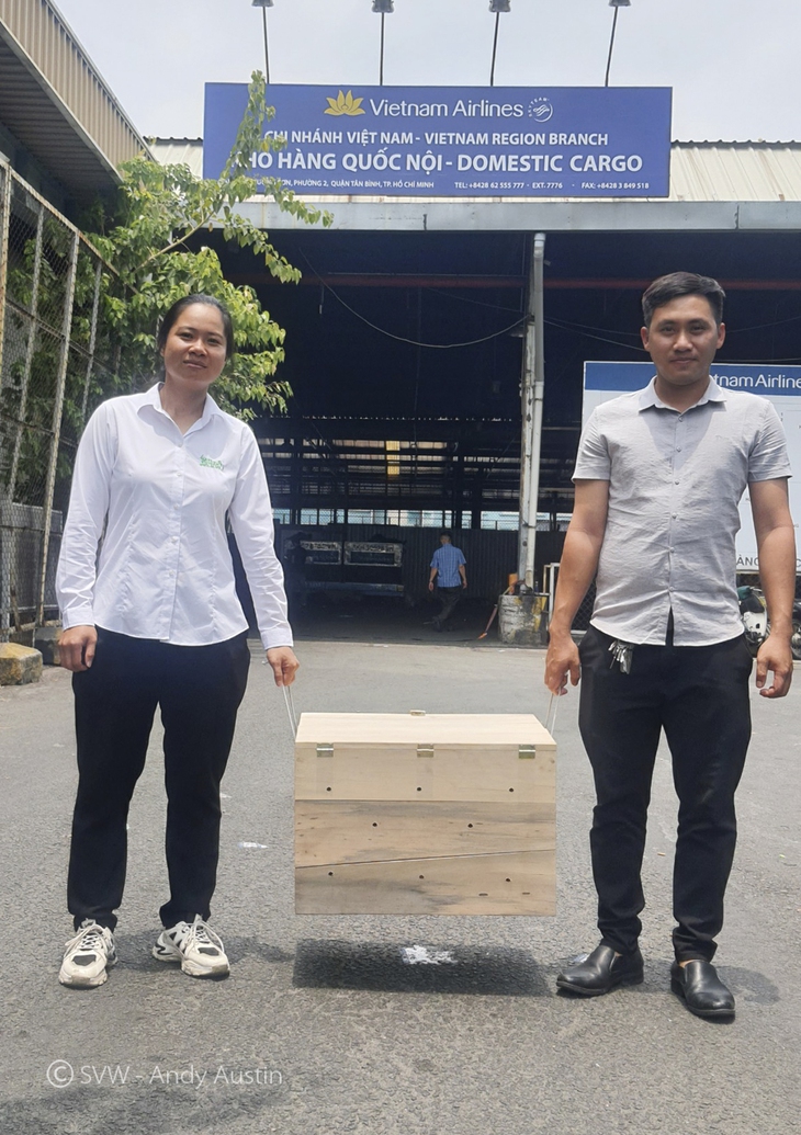 Cá thể động vật "quý như vàng" đi máy bay về VQG Cúc Phương - Ảnh 2.