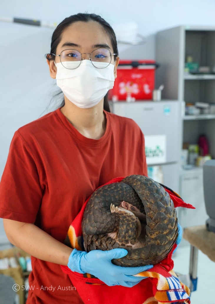 Cá thể động vật "quý như vàng" đi máy bay về VQG Cúc Phương - Ảnh 7.