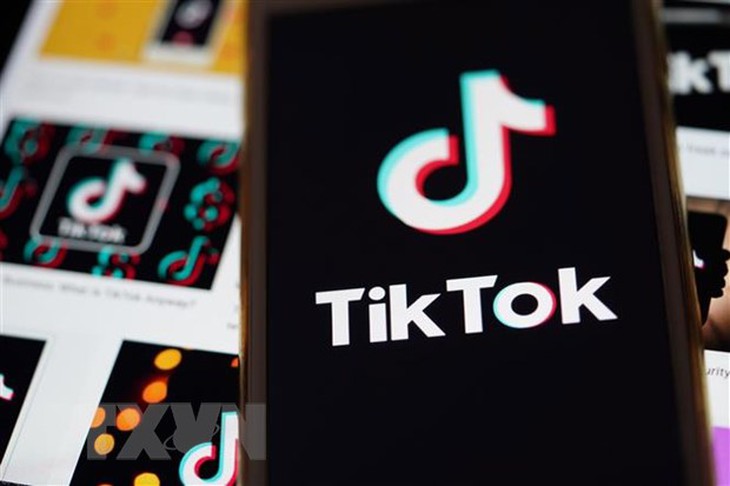 Anh phạt TikTok gần 16 triệu USD vì vi phạm luật bảo vệ dữ liệu - Ảnh 1.