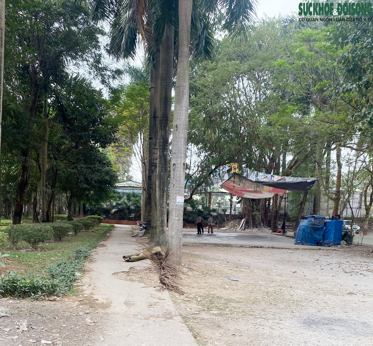Sau loạt sai phạm, công viên Tuổi trẻ Thủ đô khi nào được hồi sinh? - Ảnh 11. Sau loạt sai phạm, công viên Tuổi trẻ Thủ đô khi nào được hồi sinh? - Ảnh 11.