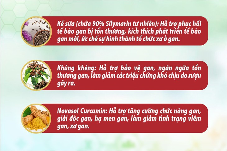 Hỗ trợ giải độc, tăng cường chức năng gan nhờ dược liệu và tinh chất thiên nhiên - Ảnh 2. Hỗ trợ giải độc, tăng cường chức năng gan nhờ dược liệu và tinh chất thiên nhiên - Ảnh 2.