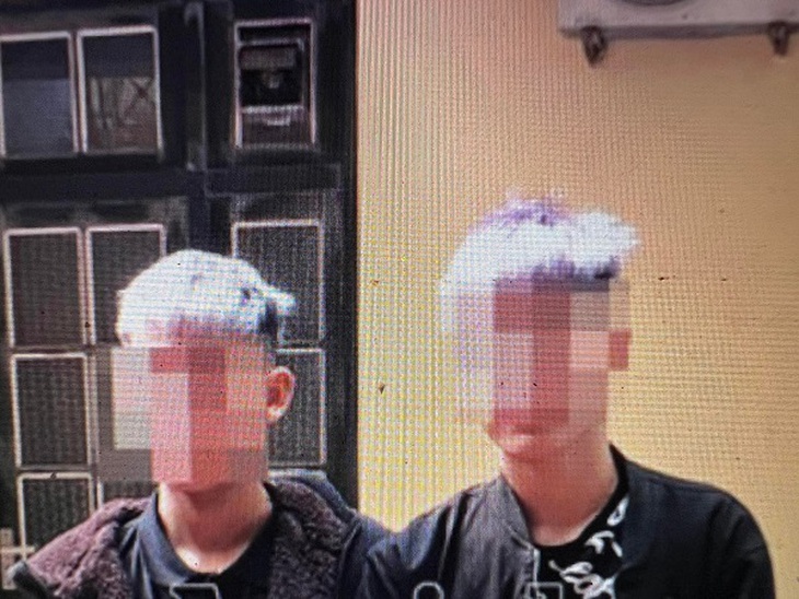 2 tên cướp chuyên gây án trên quốc lộ “sa lưới” - Ảnh 2.