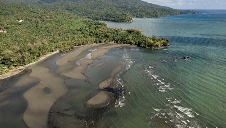 Hơn 1 tháng sau vụ tàu chở dầu bị lật ngoài khơi Philippines, dầu rò rỉ vẫn đe dọa hệ sinh thái biển - Ảnh 2. Hơn 1 tháng sau vụ tàu chở dầu bị lật ngoài khơi Philippines, dầu rò rỉ vẫn đe dọa hệ sinh thái biển - Ảnh 2.