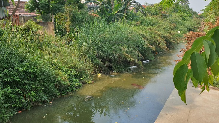 Dân khốn khổ vì nước ở nhánh sông qua làng màu đen ngòm, bốc mùi hôi thối - Ảnh 4. Dân khốn khổ vì nước ở nhánh sông qua làng màu đen ngòm, bốc mùi hôi thối - Ảnh 4.