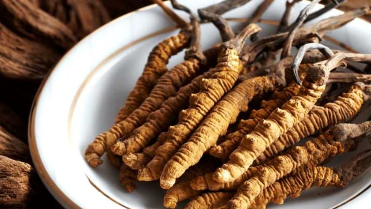 Đông trùng hạ thảo – vị thuốc bổ, quý hiếm - Ảnh 2.