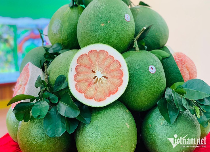 Bưởi Việt Nam vào mùa khan hiếm nhất, có loại đắt gấp đôi - Ảnh 1.