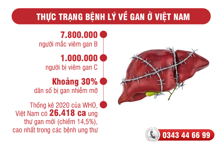 Sai lầm thường gặp khi điều trị bệnh về gan - Ảnh 1. Sai lầm thường gặp khi điều trị bệnh về gan - Ảnh 1.