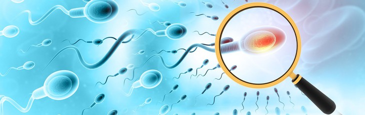 Các biện pháp và vị thuốc đông- tây y kết hợp trị tinh trùng yếu - Ảnh 2.
