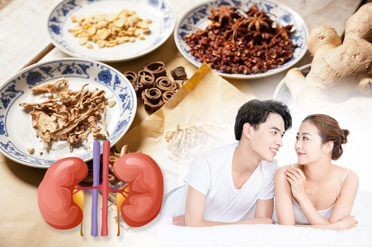 Vì sao bổ thận tráng dương giúp tăng cường sinh lý nam giới? - Ảnh 1.