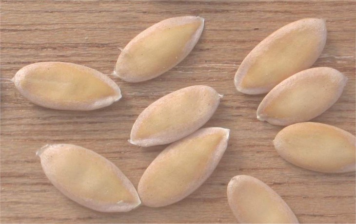Dưa bở và các bài thuốc từ cuống, quả, vỏ, hạt... - Ảnh 4.