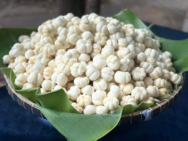 Quả măng cụt gây sốt từ thế kỷ 18 đến nay có gì đặc biệt? - Ảnh 1. Quả măng cụt gây sốt từ thế kỷ 18 đến nay có gì đặc biệt? - Ảnh 1.