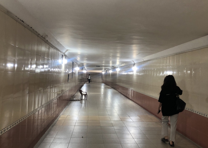 Nhiều cầu vượt, hầm đi bộ ở Thủ đô bị người dân lãng quên - Ảnh 4.