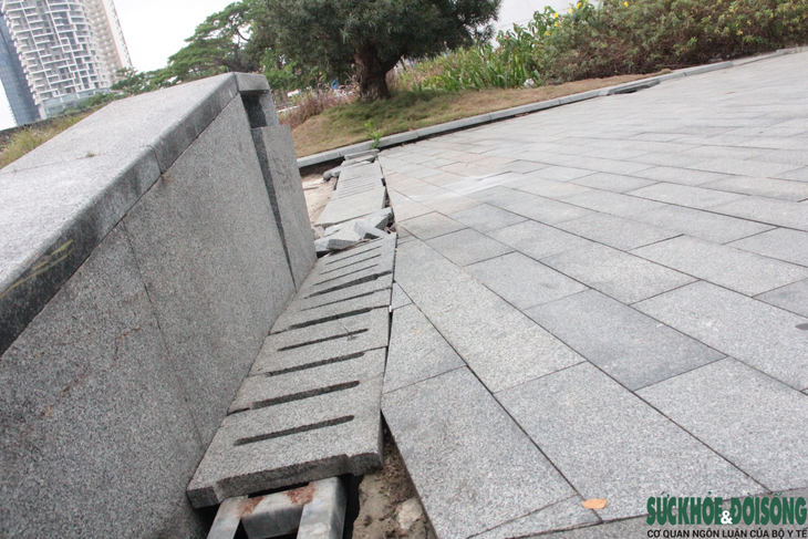 Hoang phế bến du thuyền trăm tỷ giữa lòng Đà Nẵng - Ảnh 6.