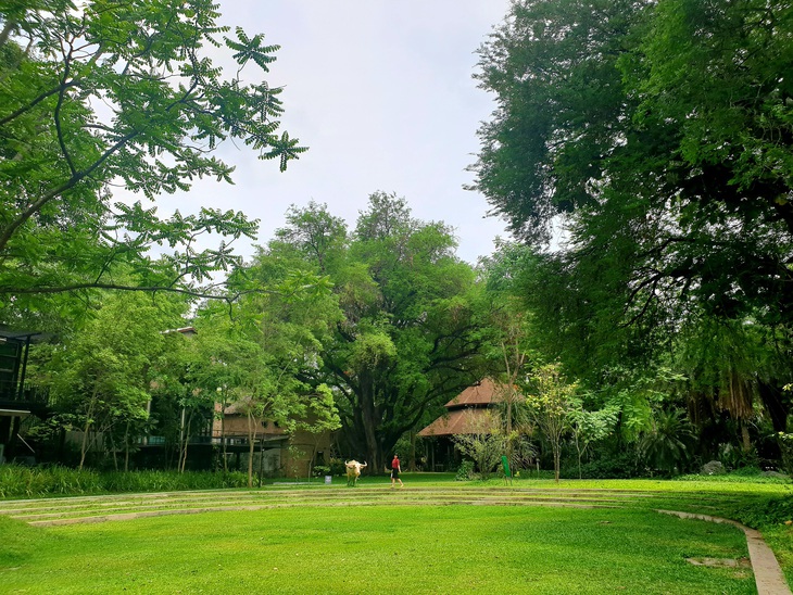 Bất ngờ resort xanh mát hồi sinh từ trang trại chế biến thuốc lá - Ảnh 10.
