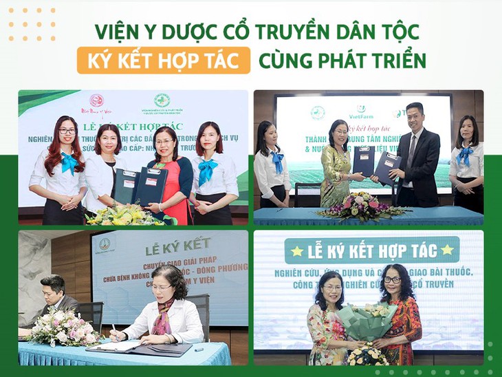Viện Y Dược Cổ truyền Dân tộc nghiên cứu bệnh lý và các giải pháp điều trị - Ảnh 3.