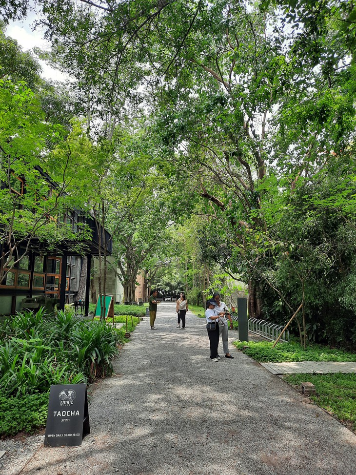 Bất ngờ resort xanh mát hồi sinh từ trang trại chế biến thuốc lá - Ảnh 11.