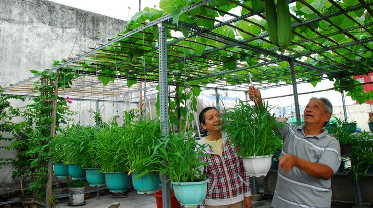 Nắng nóng trên 40 độ C, người cao tuổi cần làm những điều sau để khỏe mạnh - Ảnh 1.