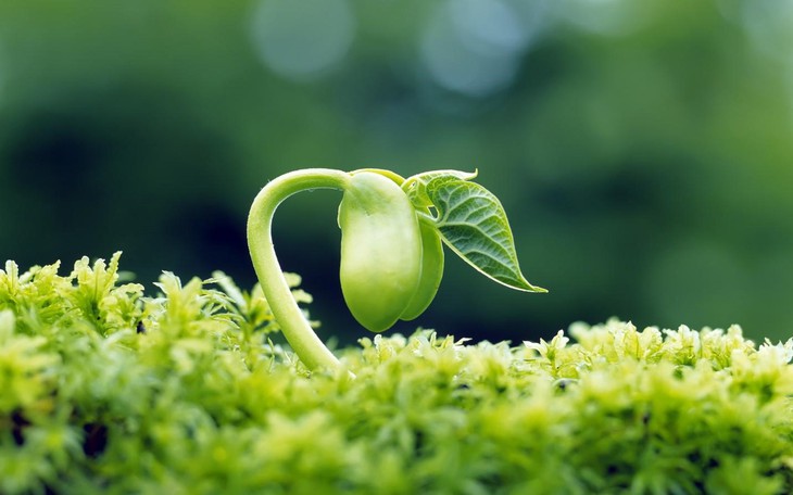 Bật mí “công thức vàng” giúp phụ nữ trung niên đẹp da, giảm bốc hỏa - Ảnh 2.