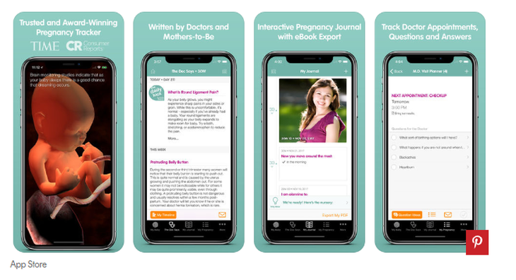 Top 6 app theo dõi thai kỳ được mẹ bầu tin tưởng - Ảnh 3.