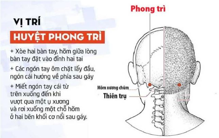 Xoa bóp, bấm huyệt làm giảm viêm mũi mùa hè - Ảnh 2.