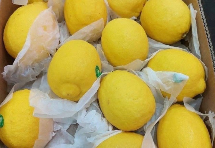 Hà Nội nắng đổ lửa, chanh vàng giải nhiệt 30.000 đồng/quả "cháy hàng" - Ảnh 2.