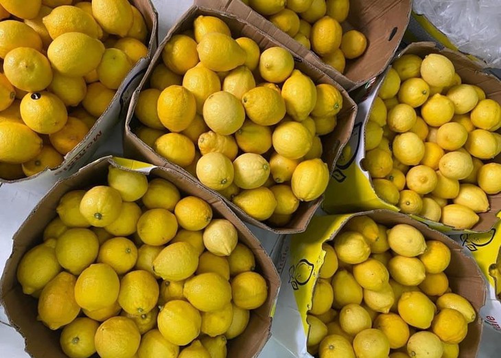 Hà Nội nắng đổ lửa, chanh vàng giải nhiệt 30.000 đồng/quả "cháy hàng" - Ảnh 1.