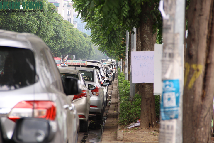Liên tục bị tái chiếm, Hà Nội yêu cầu nghiên cứu cho thuê vỉa hè - Ảnh 2.