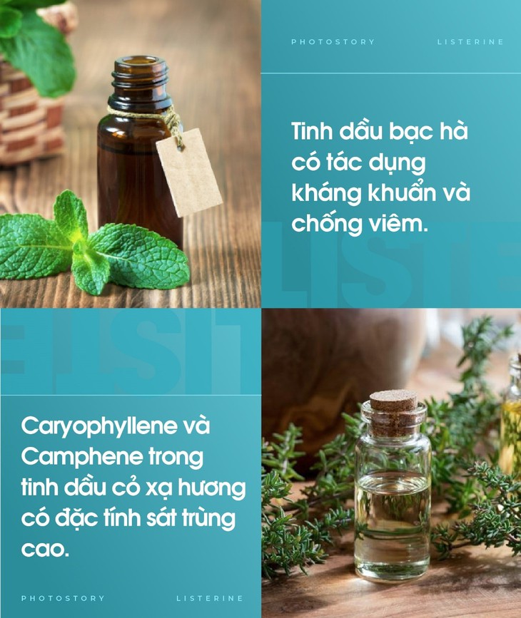 Miễn dịch hiệu quả, giữ cơ thể khỏe mạnh nhờ khoang miệng sạch - Ảnh 1. Miễn dịch hiệu quả, giữ cơ thể khỏe mạnh nhờ khoang miệng sạch - Ảnh 1.