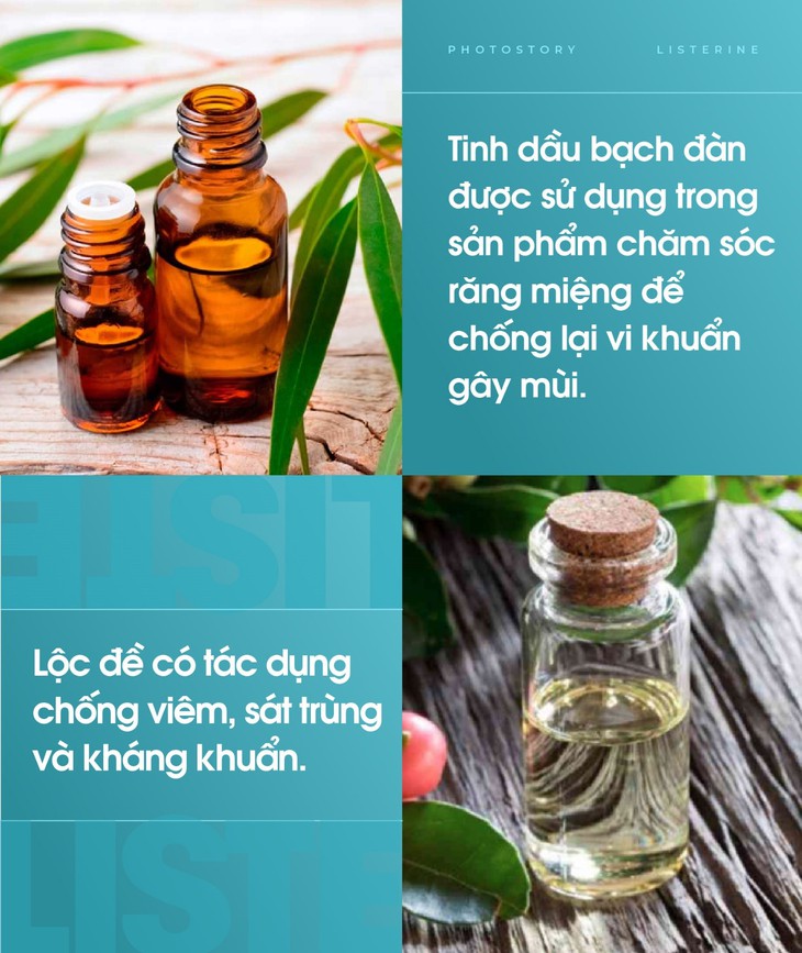Miễn dịch hiệu quả, giữ cơ thể khỏe mạnh nhờ khoang miệng sạch - Ảnh 2. Miễn dịch hiệu quả, giữ cơ thể khỏe mạnh nhờ khoang miệng sạch - Ảnh 2.