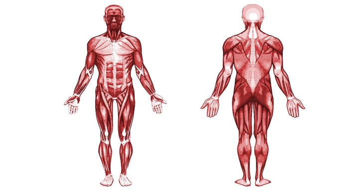 Điều trị viêm đa cơ, viêm da cơ tự miễn - Ảnh 1.