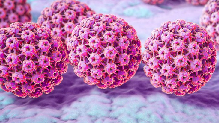 Virus HPV cần được tầm soát sức khỏe sinh sản định kỳ để giảm nguy cơ ung thư - Ảnh 2. Virus HPV cần được tầm soát sức khỏe sinh sản định kỳ để giảm nguy cơ ung thư - Ảnh 2.