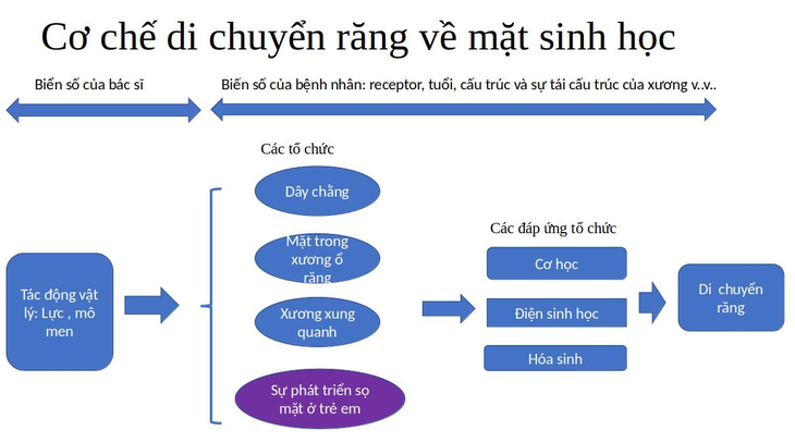 "Răng chạy nhanh" trong quá trình niềng răng liệu có phải là dấu hiệu tốt? - Ảnh 1. "Răng chạy nhanh" trong quá trình niềng răng liệu có phải là dấu hiệu tốt? - Ảnh 1.