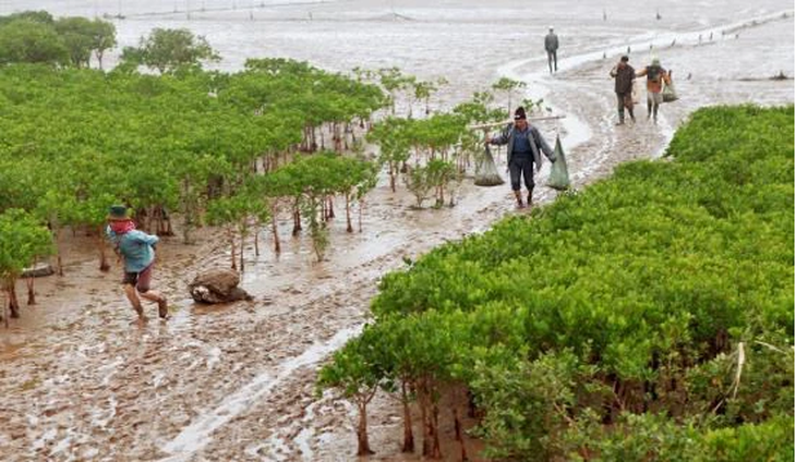 Đi trải nghiệm bắt ngao, học sinh và phụ huynh Hà Nội bị nước cuốn tử vong - Ảnh 1. Đi trải nghiệm bắt ngao, học sinh và phụ huynh Hà Nội bị nước cuốn tử vong - Ảnh 1.