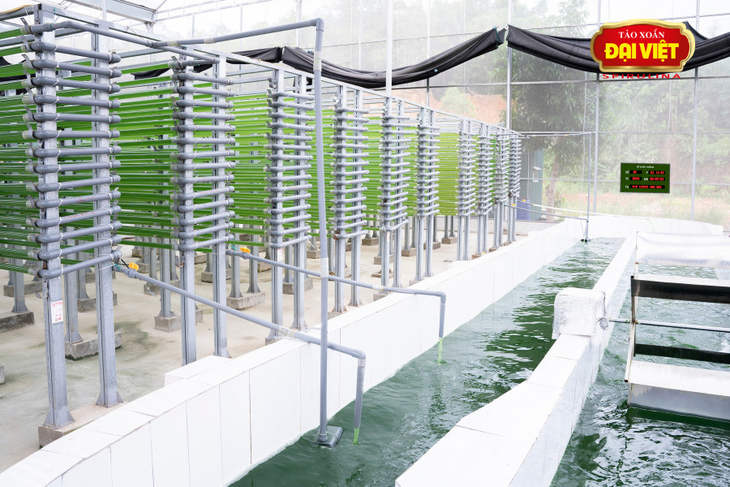 Bí quyết nâng cao sức khỏe nhờ tảo xoắn - Ảnh 1. Bí quyết nâng cao sức khỏe nhờ tảo xoắn - Ảnh 1.