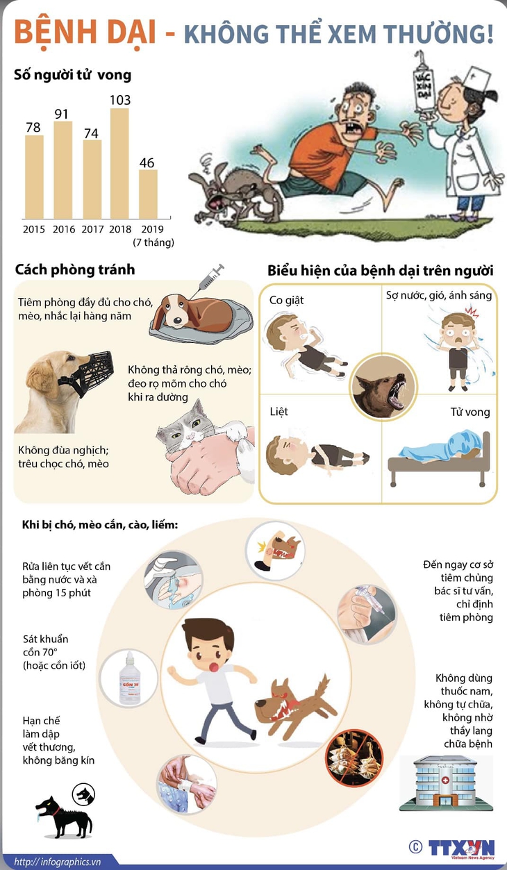 Một phụ nữ tử vong sau 3 tháng bị chó nhà cắn - Ảnh 3.