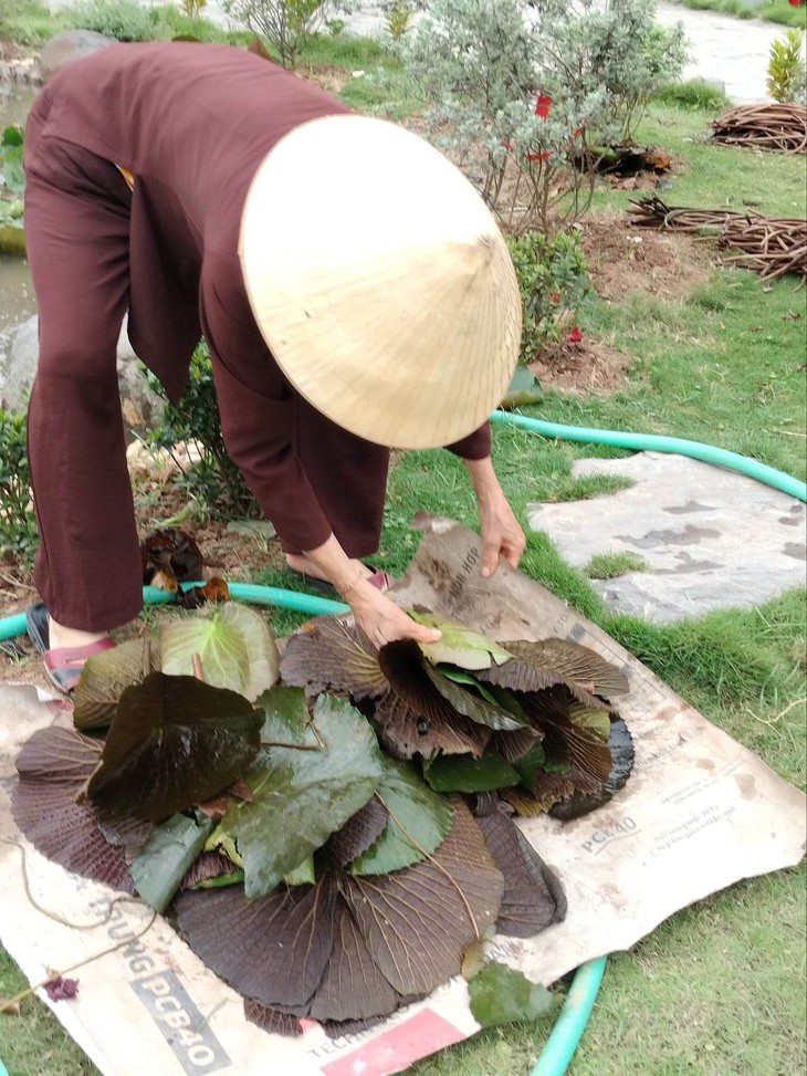 Bất ngờ được thưởng hoa đẹp, ăn đặc sản miền Tây tại chùa Long Hưng - Ảnh 6.