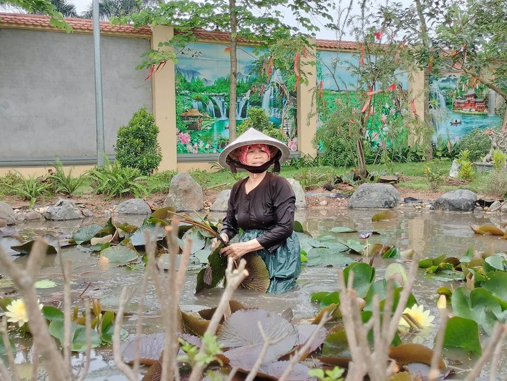 Bất ngờ được thưởng hoa đẹp, ăn đặc sản miền Tây tại chùa Long Hưng - Ảnh 3.