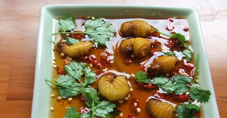 Những loại sâu bọ "độc nhất vô nhị" đắt đỏ, thực khách săn lùng
