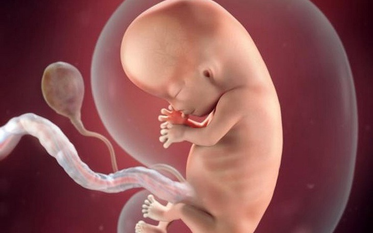 Nguồn gốc thú vị của nước ối và tầm quan trọng của chất lỏng đặc biệt này khi mang thai