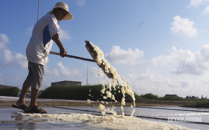 Nhọc nhằn diêm dân "cõng nắng" trên cánh đồng trắng