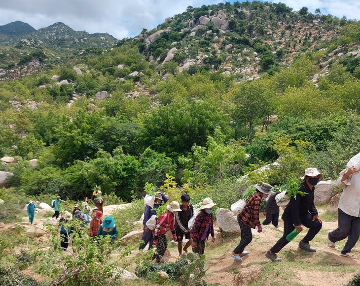 Lên núi đá trồng thứ cây “khắc tinh” với khô hạn - Ảnh 3.