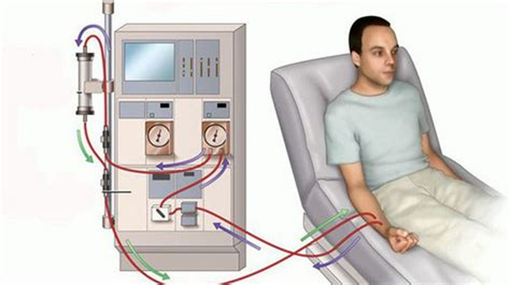 Dấu hiệu suy thận và phương pháp điều trị bệnh hiệu quả - Ảnh 2.