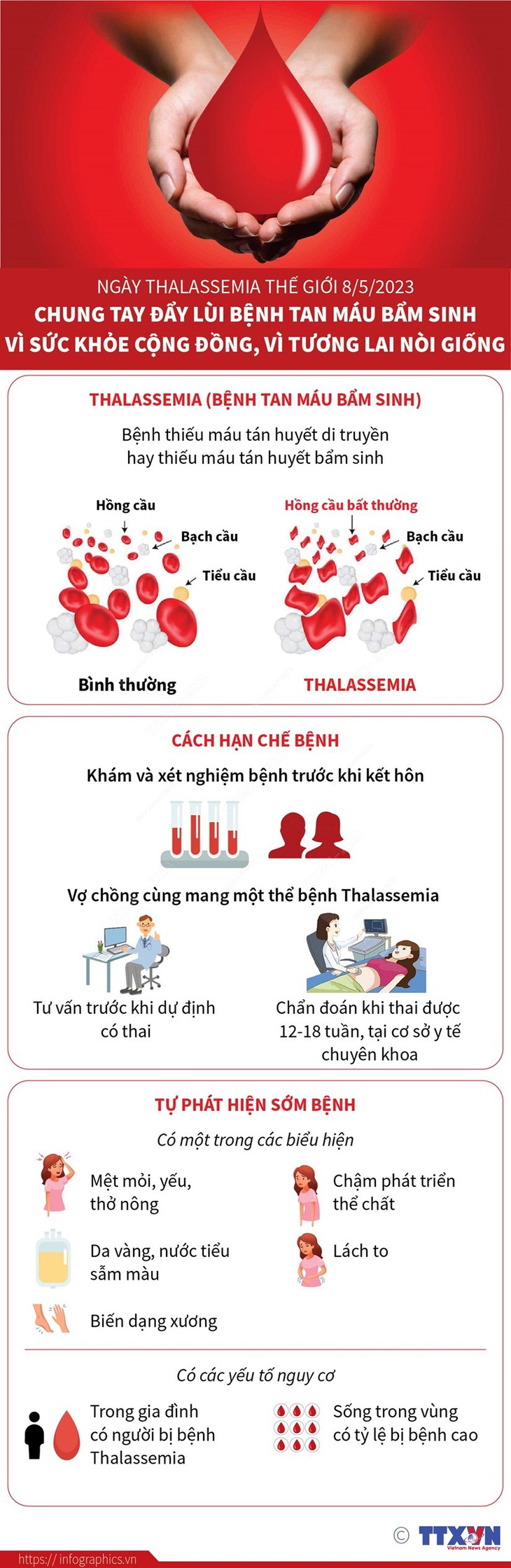 Đẩy lùi bệnh tan máu bẩm sinh vì sức khỏe cộng đồng và nòi giống - Ảnh 1.