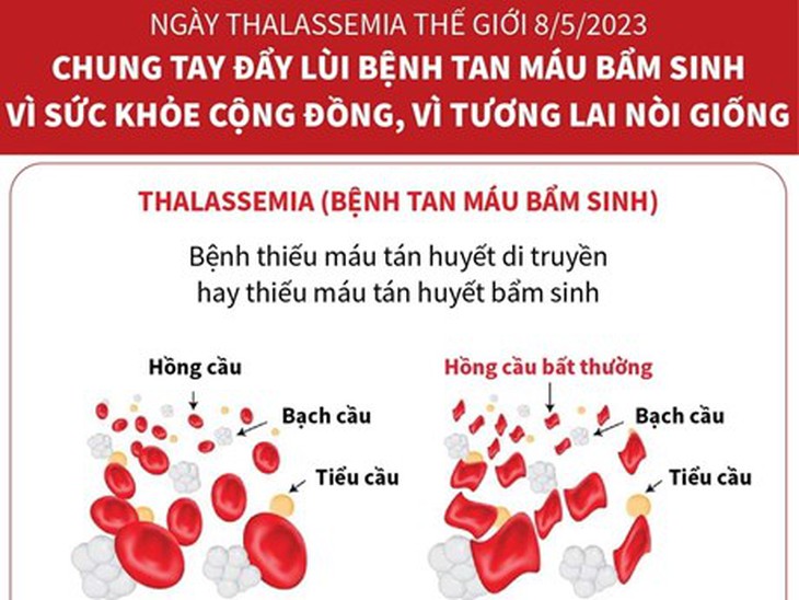 Đẩy lùi bệnh tan máu bẩm sinh vì sức khỏe cộng đồng và nòi giống